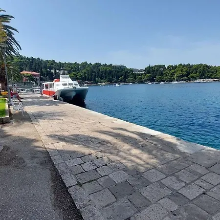 Palace Pernarius Διαμέρισμα Cavtat
